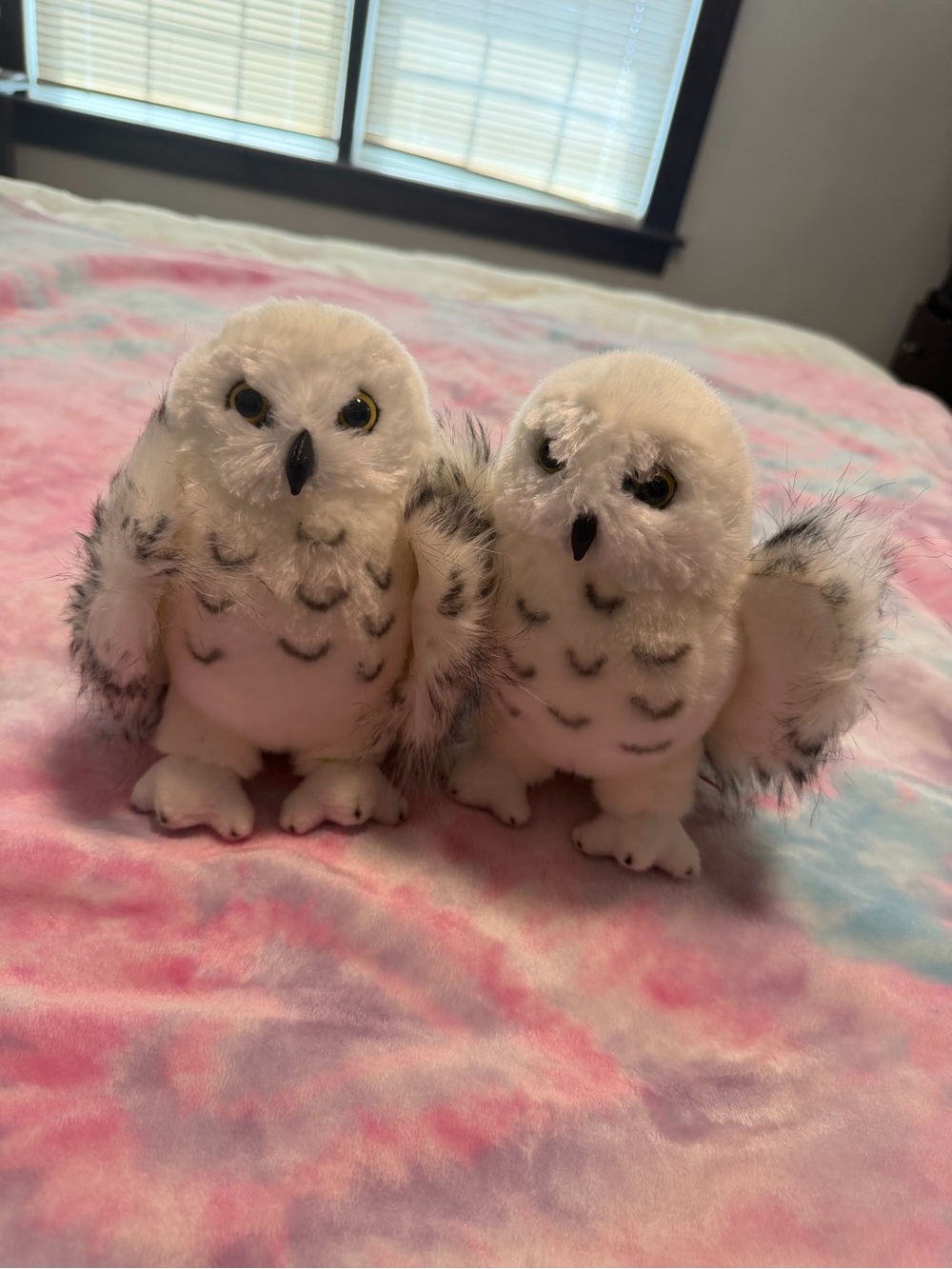 2 Douglas white owl plushes